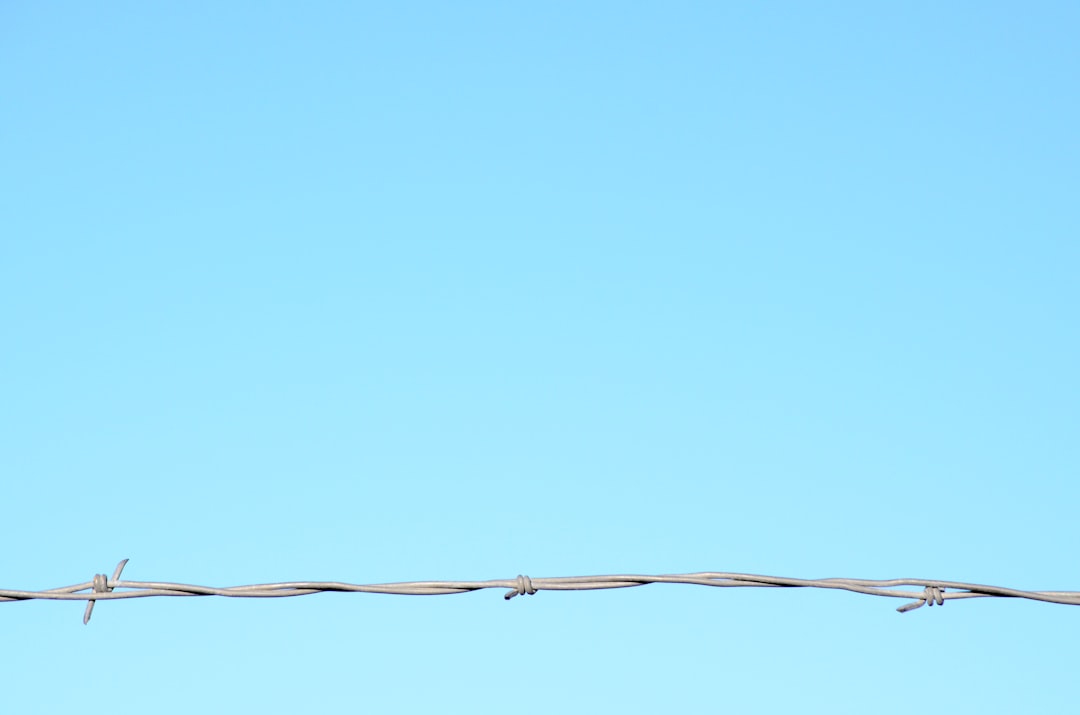 Photo Metal wires